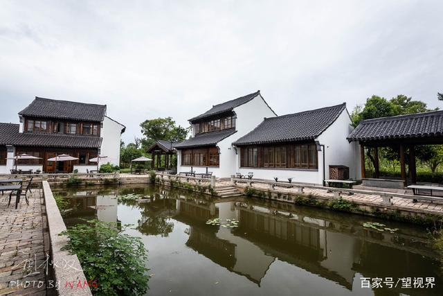 蘆蕩唱晚，夜宿沙家浜，嘗陽澄湖大閘蟹，枕著蟲鳴入睡(圖6)